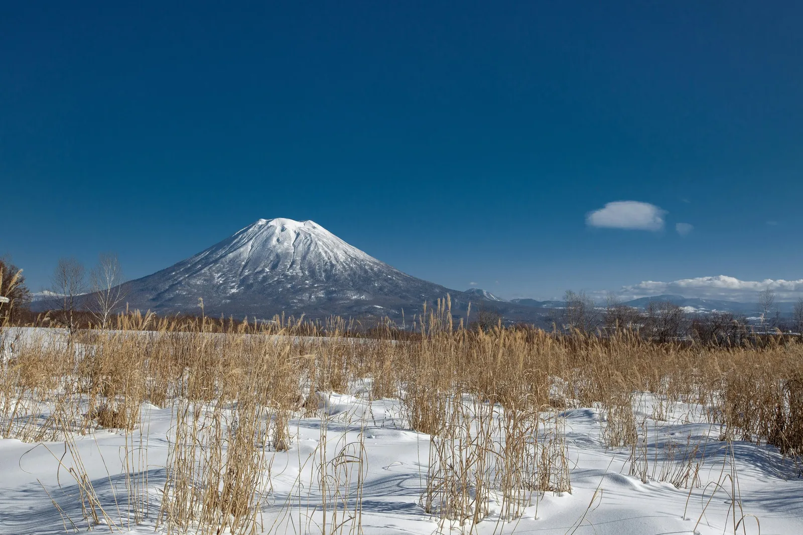 Mount Yotei in winter seen across snowfields near Niseko, Hokkaido