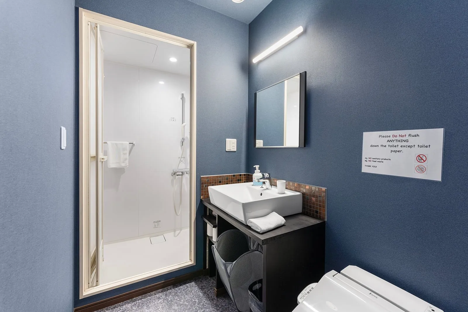 Bathroom with blue walls at Hikari House